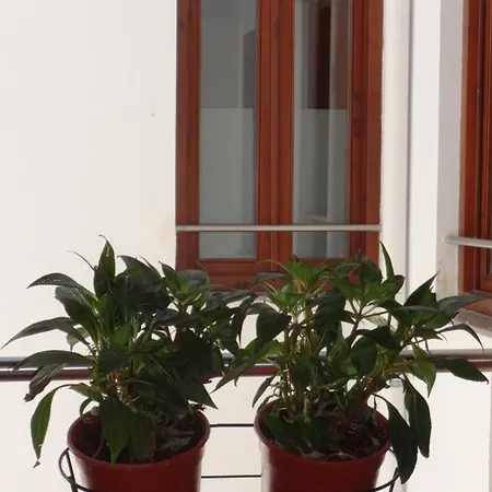 Apartamento Lovegranada Centro ático Montalban Granada